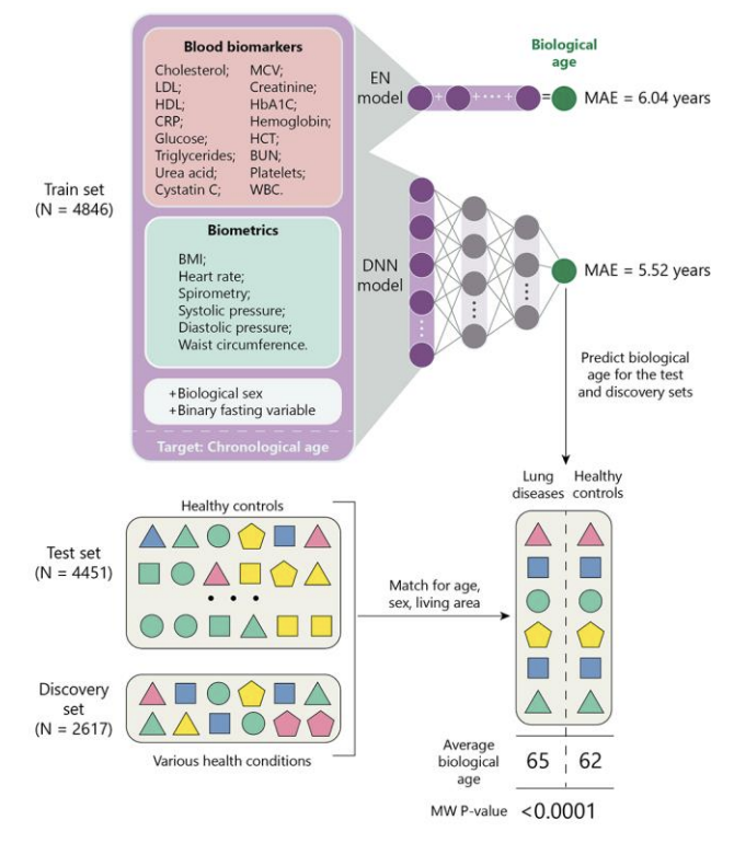 Deep Learning Health Prediction Architecture